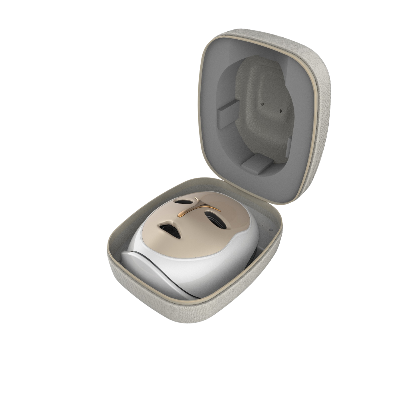 Artemis Sterilizer Case