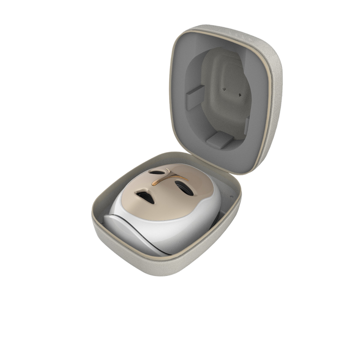 Artemis Sterilizer Case